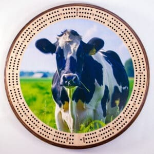 Cow in Field