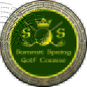 Your Business Logo Custom Color Cribbage Board | 3-Track, 120-Point Round Game with Pegs & Cards